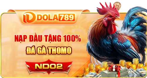 khuyến mãi đá gà